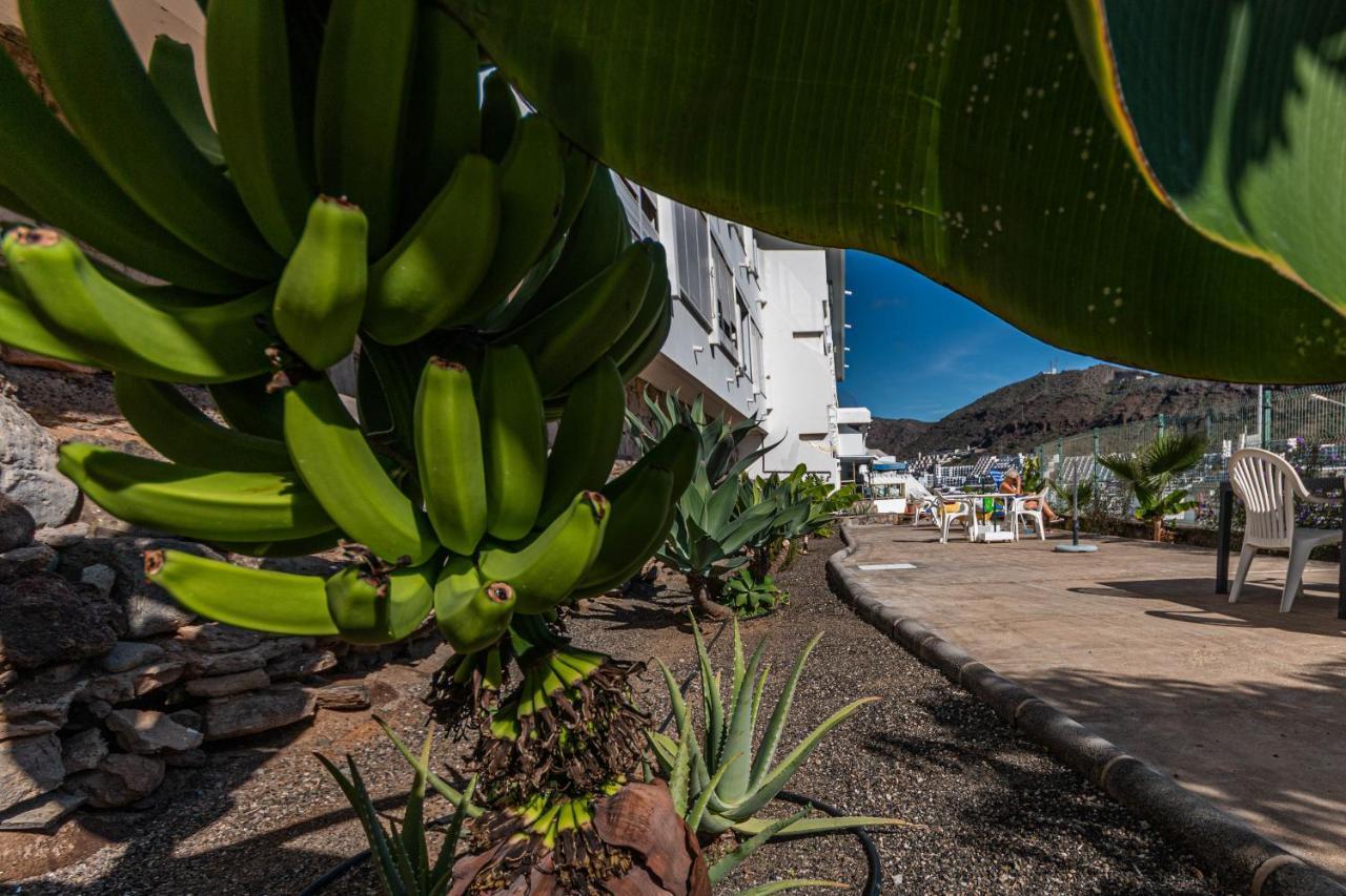 Your Happy Place Puerto Rico With Ac Eksteriør billede